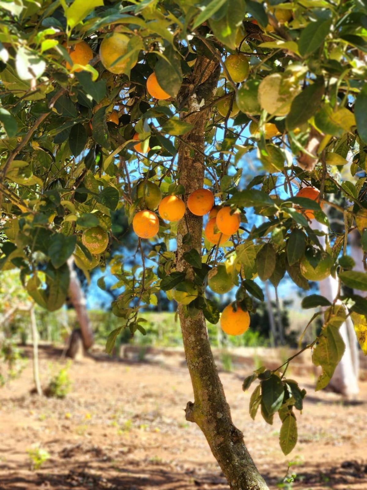 Pousada La Na Roca Paraisopolis Luaran gambar