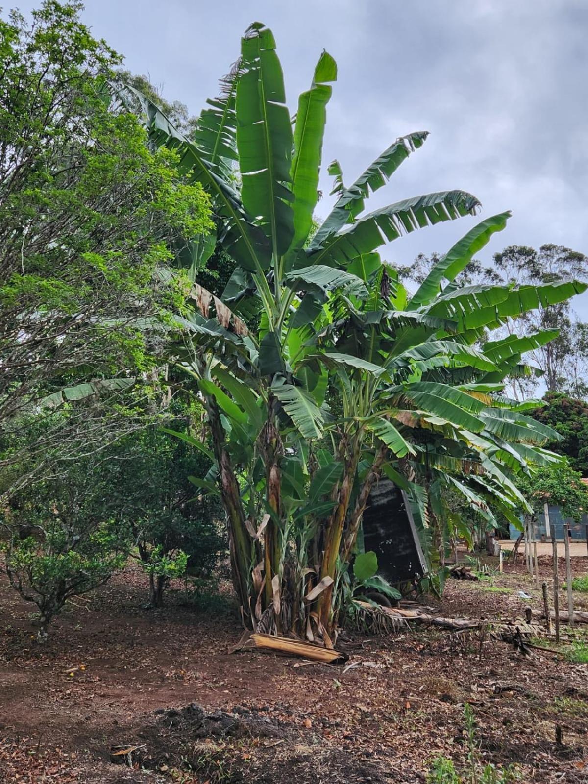 Pousada La Na Roca Paraisopolis Luaran gambar