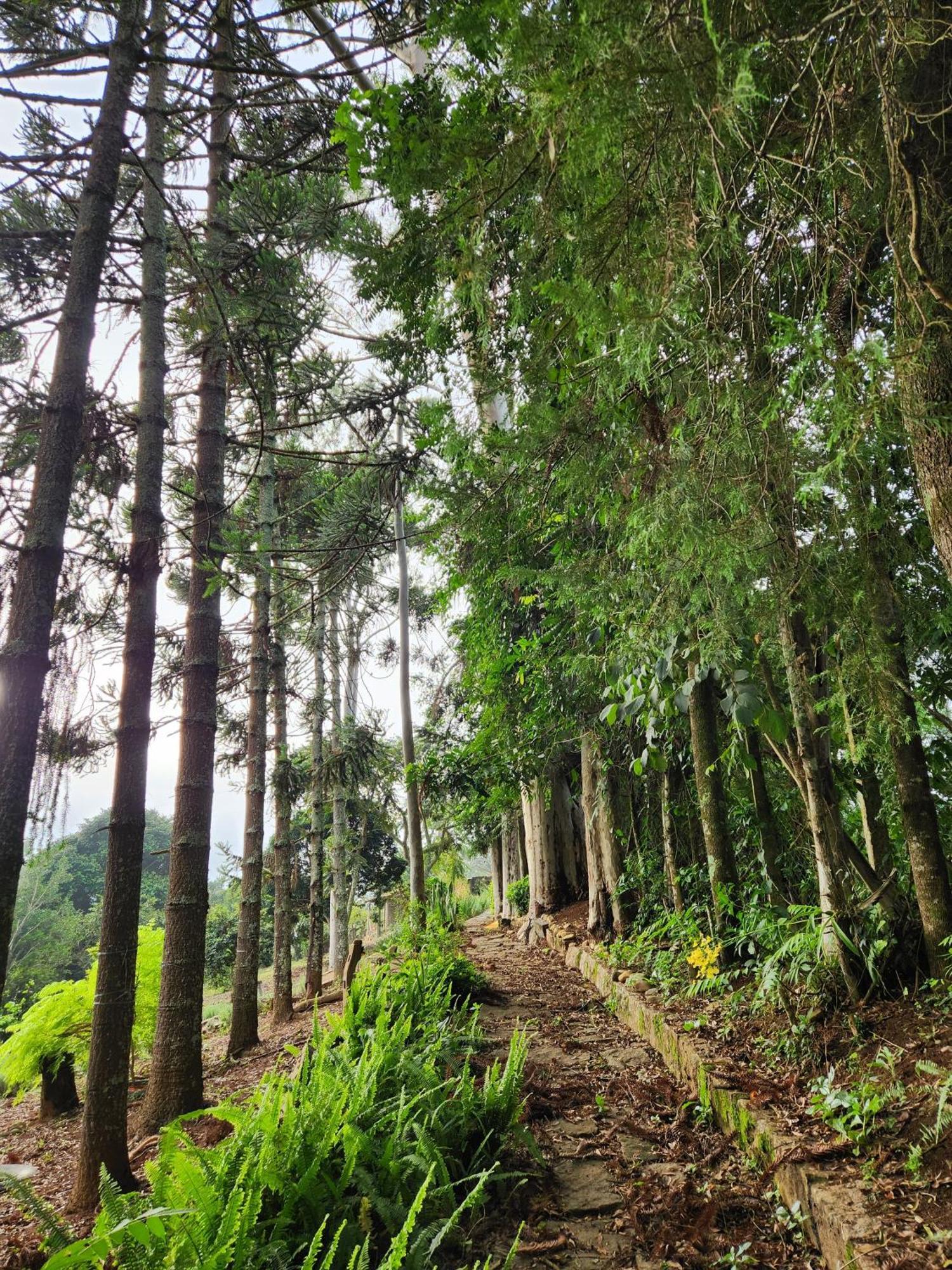 Pousada La Na Roca Paraisopolis Luaran gambar